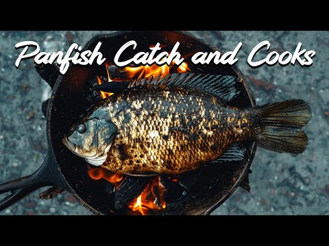 2 Hours of Crappie, Bluegill, and Invasive Cichlid Catch and Cooks