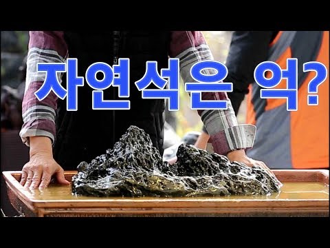 수석경매 자연석이면 억이다!!