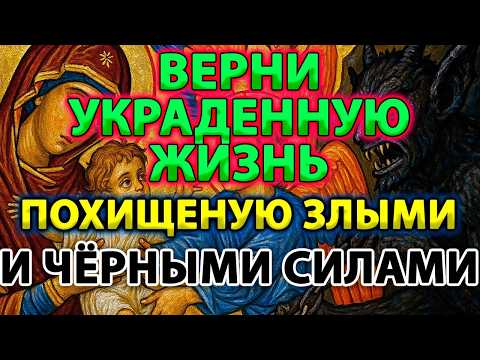 ВЕРНИ УКРАДЕННУЮ ЖИЗНЬ! ПОХИЩЕННУЮ ЗЛЫМИ И ЧЁРНЫМИ СИЛАМИ!