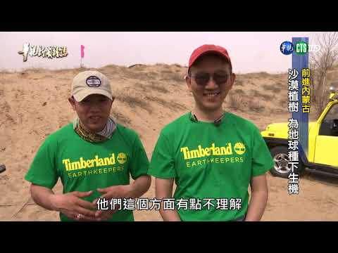 【前進內蒙古】 科爾沁沙漠種樹19年 讓綠洲再現 單元1| 2019.05.03 第2172集