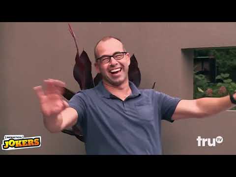 You Won't Believe the CRAZIEST IMPRACTICAL JOKERS Moments 😂 (Part 127) NEW