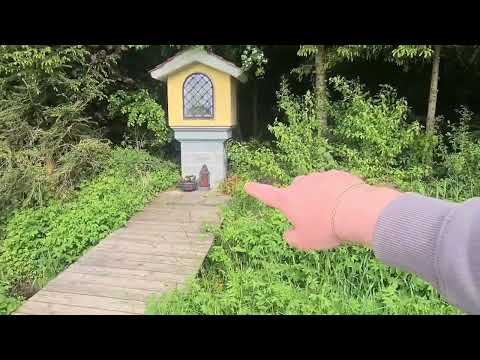 Село в Німеччині. Чому так чисто? Навіщо стригти траву в лісі? Чому стовпи дерев'яні?