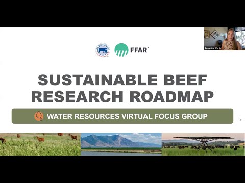 Water Resources Focus Group August 5 2024