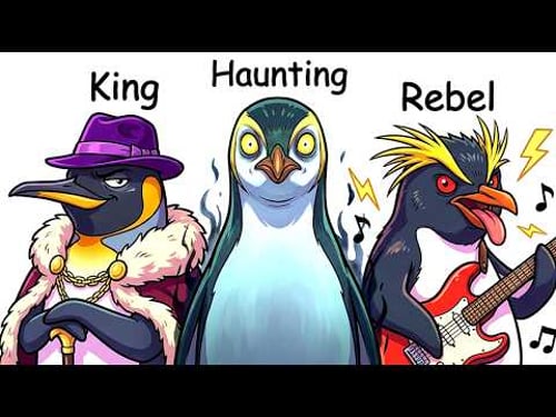 Every Penguin Species Explained in 19 Minutes