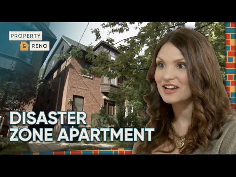 Roommates Hunt Downtown Two Bed with Clashing Styles | For Rent