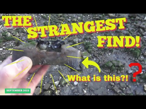 I found the Strangest Object Mudlarking on the River Thames!Do you know what it is? (September 2023)