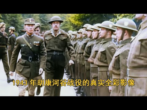 3D动画还原胡康河谷战役:孙立人雪耻复仇,日本“菊花师团”被彻底打残