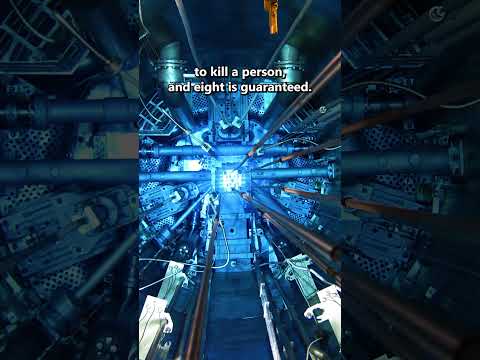This bacteria can withstand a nuclear reactor! ☢️