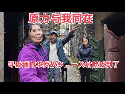 台山百曉:今日分享視頻拍攝地點是台山市台城街道水南潮昇村,受一位緬甸華僑所托來尋找他的家鄉,他的父親在緬甸出生,抗戰時期曾經回來鄉下住過,期間奶奶也在鄉下過世,父親囑咐他一定要回去鄉下看看!#台山