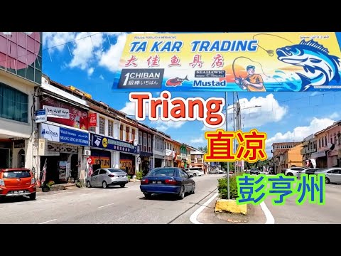 TRIANG / 直凉 / 上集 / 百乐县 / 彭亨州 / 马来西亚中部 / 南开庙 /