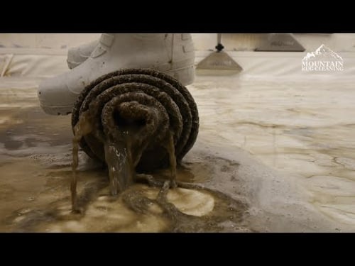 The Smell Of Excrement Was Strong In This One | Deep Cleaning a Rug That Smelled Like Poo