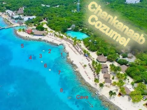 Cruise Ship Snorkeling - Port of Cozumel, Mexico - Chankanaab