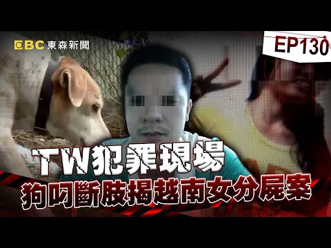 【TW犯罪現場EP130】夫妻相約「外遇就把對方分了」!越南女變心慘遭切5塊…靈犬田地叼手臂揭驚悚命案