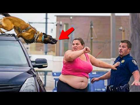 Craziest Police K9 Takedowns Caught on Camera