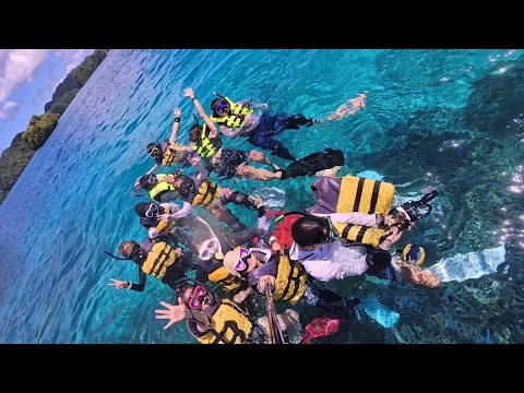 2026.2.21〜26 パラオツアー