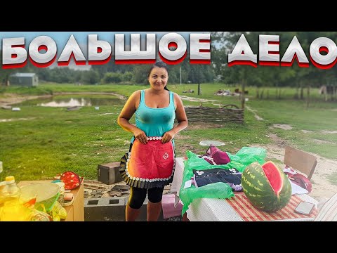 We dismantle the stoves and get a studio-hut. Gogi the ram has matured and started butting. Unpac...