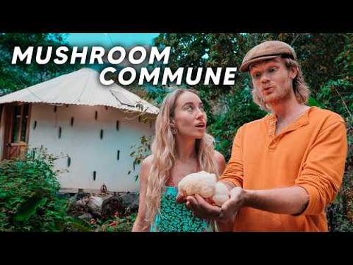 Inside A Mushroom Commune (Fungi Academy)