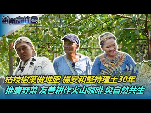 枯枝樹葉做堆肥 楊安和堅持種土30年|全台唯一火山咖啡 堅持友善耕作品風土滋味|永續低碳的飲食智慧 推廣野菜傳承原民文化|新聞高峰會|陳雅琳|華視新聞 20241020