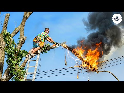 Idiots With Chainsaws: Tree Cutting Fails | Extreme Dangerous Logging Truck Fails #12