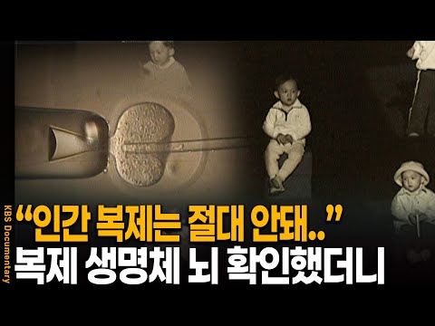 복제 생명체의 뇌에서 발견한 충격적인 실험 결과 | KBS 20030427 방송