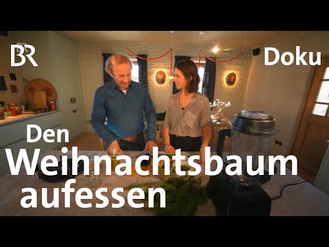 Teller statt Tonne - Kochen mit dem Weihnachtsbaum | Nach Weihnachten | freizeit | Doku | BR