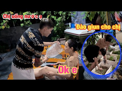 Hoàng Em Hùng Đơ Chính Thức Bị Chị 8 Sẹo Xé Vé Và Cái Kết Bị Đuổi Ra Khỏi Nhà