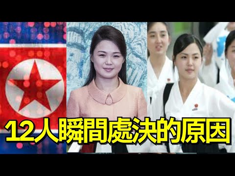 【真實】12人瞬間處決的原因...金正恩妻子的禁忌過去