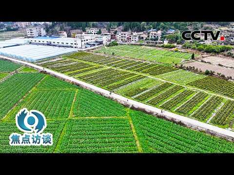 度过医疗费危机、告别危房重建新家……脱贫之后,“一个都不能少”的这五年 | CCTV「焦点访谈」20260225