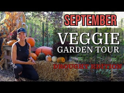 September Vegetable Garden Tour- Ohio 2024
