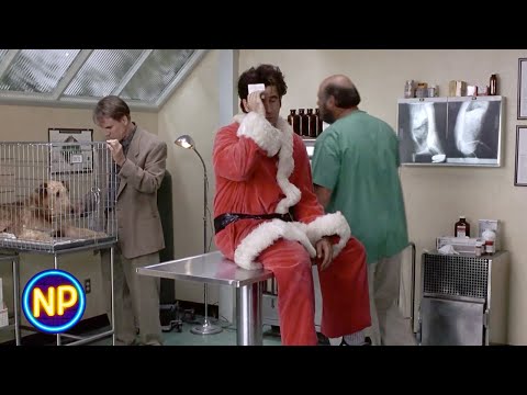 Treated for a Concussion at the Vet | Mixed Nuts (1994)