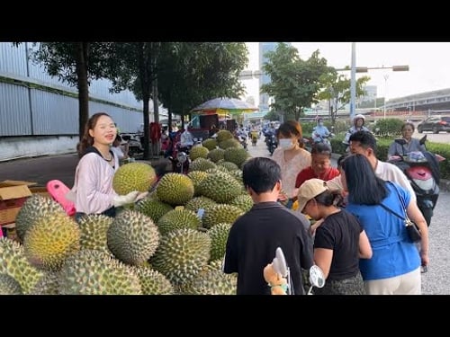 广西传统地摊经济,街头水果美食,广西南宁最火爆最便宜的美食购物一条街,物价超便宜,轻松实现水果自由,1.98元一斤的荔枝,3元一个大西瓜,9.9元一斤的榴莲,2元一个的大香芒,10元三斤的三华李