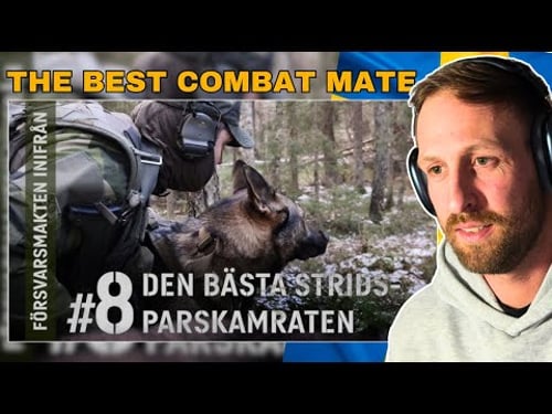 Swedens Elite Air Force Security British Army Veteran Reacts