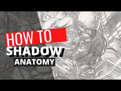 How to Shadow Anatomy