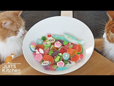 A day in a Japanese jelly candy factory (founded by 92yo active craftsman)