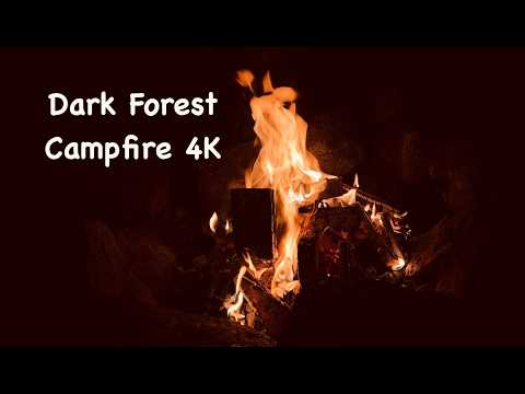 Dark Forest Campfire at Autumn Equinox - 1 Hour Real Fire in Darkness | 4K No Loop TV Ambience
