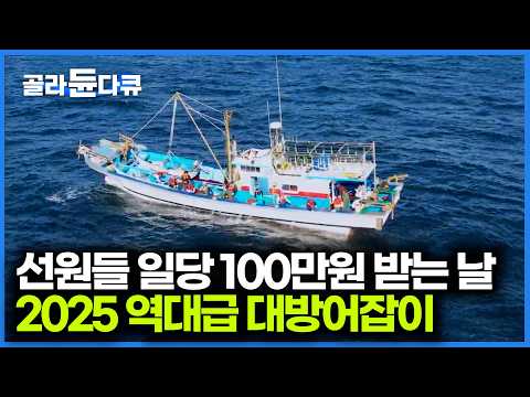 던지는 족족 잡혀 선원들 일당 100만원 받아가는 날. 2025 마라도 대방어잡이|전통 조업 방식 들망 어업|최신판 극한직업|#골라듄다큐