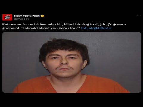 Nobody Actually Read the Story