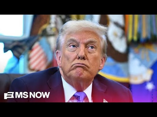 Crypto, The Trump Con and The Golden Age of Scams with Ben McKenzie & Chris Hayes