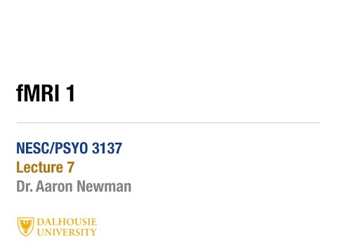 Lecture 7 - fMRI: The BOLD response & EPI