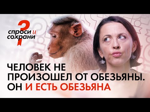 Человек — это обезьяна. Рассказывает Евгения Тимонова (@vsekakuzverei-channel)