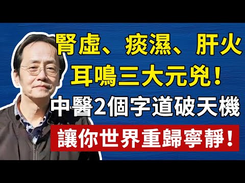 腎虛、痰濕、肝火,耳鳴三大元兇!中醫2個字道破天機,讓你世界重歸寧靜!現在知道還不晚!倪海厦祛濕,倪師養生,中醫食療#倪海厦 #養生 #中醫 #黃帝內經 #中醫智慧