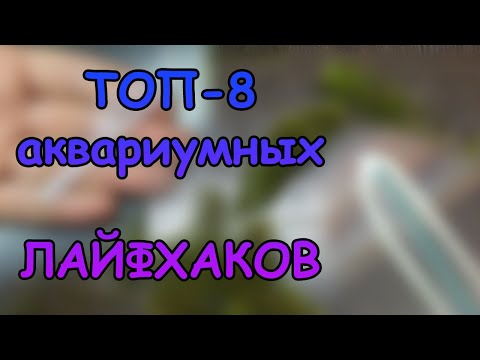 ТОП 8 АКВАРИУМНЫХ ЛАЙФХАКОВ