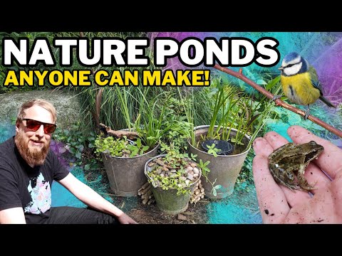 SMALL & EASY recycled garden bucket ponds. (my first ponds)