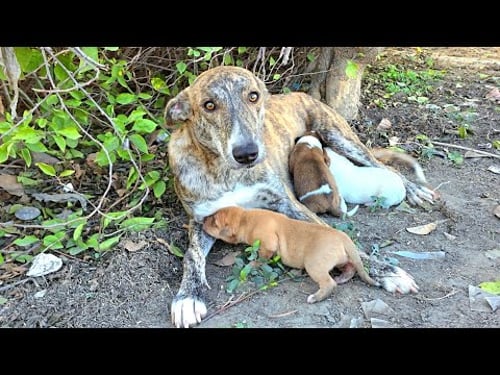 For seven days she sat where she was left... and every passing car felt like it could be him.π