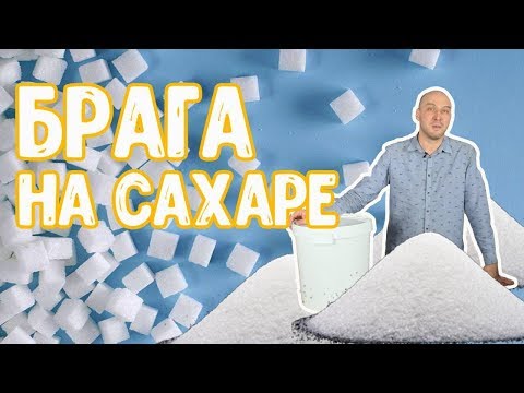 How to make mash: how much sugar do you need? A simple moonshine recipe