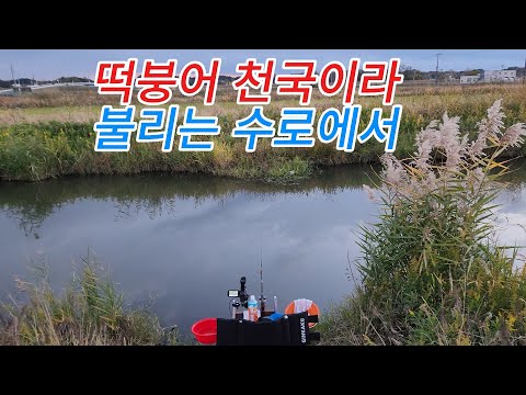 In the waterway of the rice cake heaven (November 18, 2025)