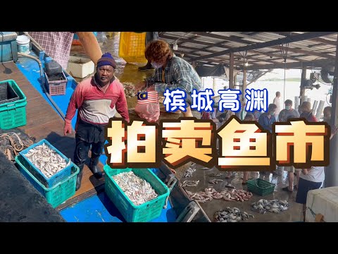 马来西亚槟城【高渊拍卖鱼市】渔民刚捕捞上岸的海鲜直接在港口的地上拍卖,高渊港口Sungai Udang the Auction market Penang Malaysia