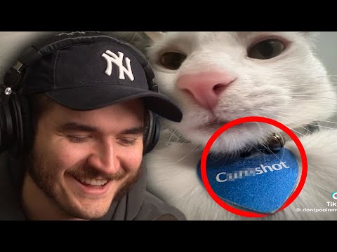 Jschlatt Ranks More ABSURD Tiktoks