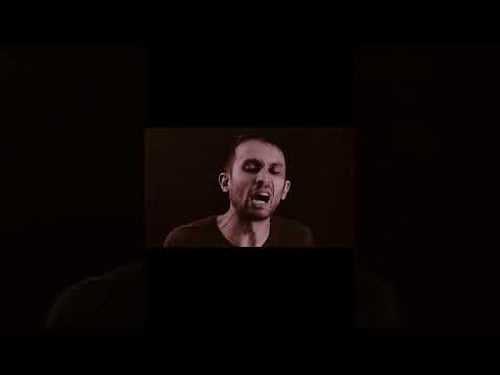 Japanese or English? 😂 Part 2 #Shorts #Comedy #sps #stiffpersonsyndrome #watch #automobile