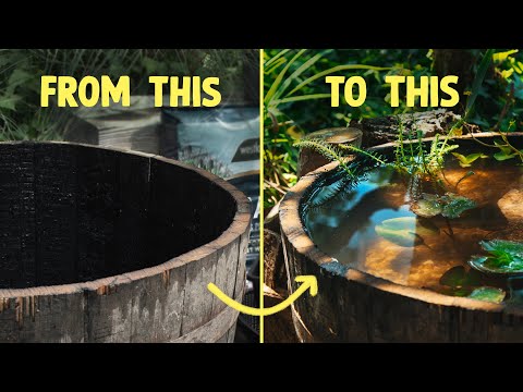 How to create a barrel pond for wildlife (build in simple steps)